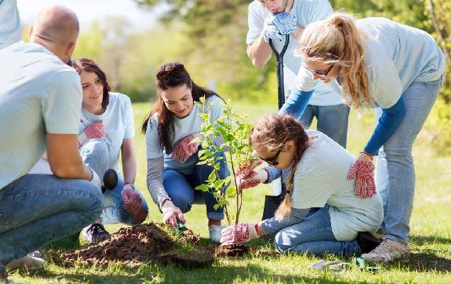 Community Participation FM3 Disability Service